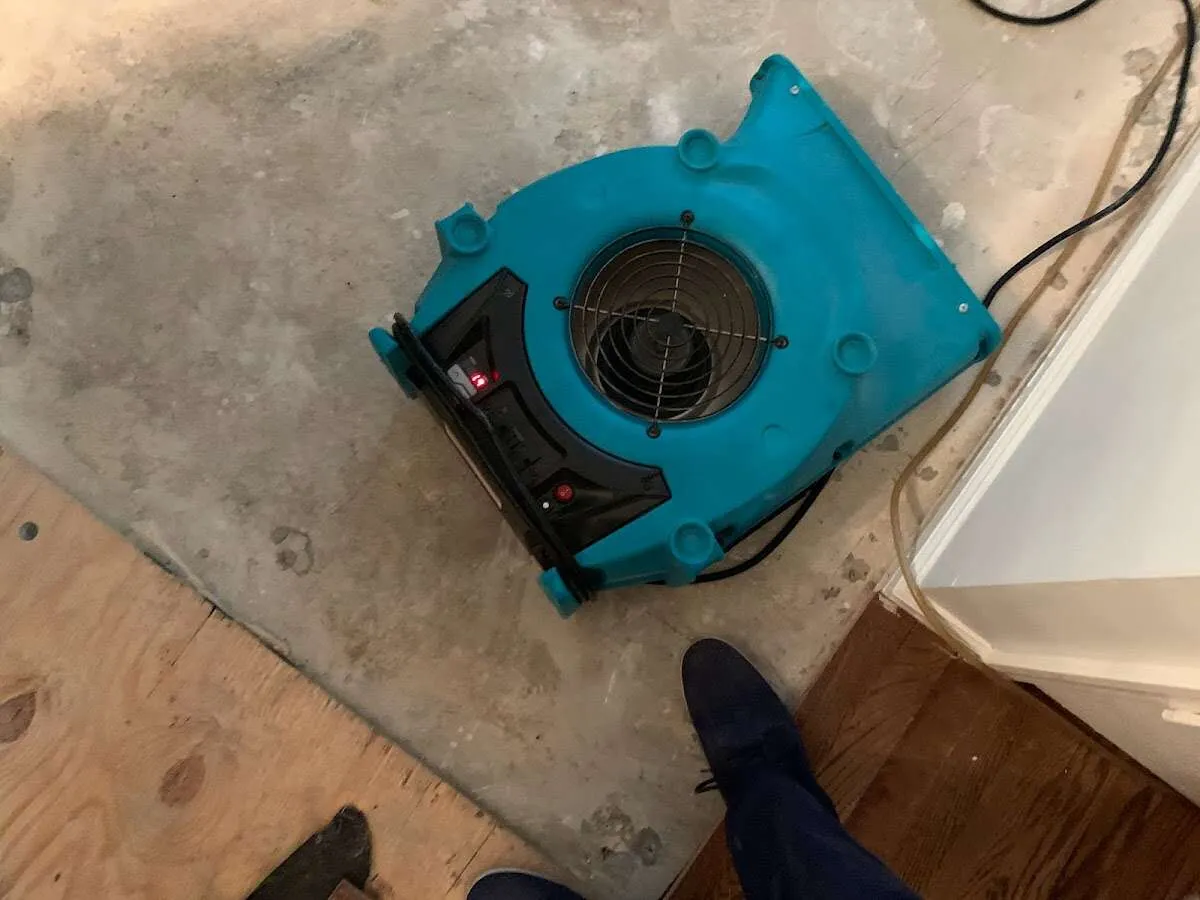 Air mover drying subfloor during Leak Detection & Repair in Westville