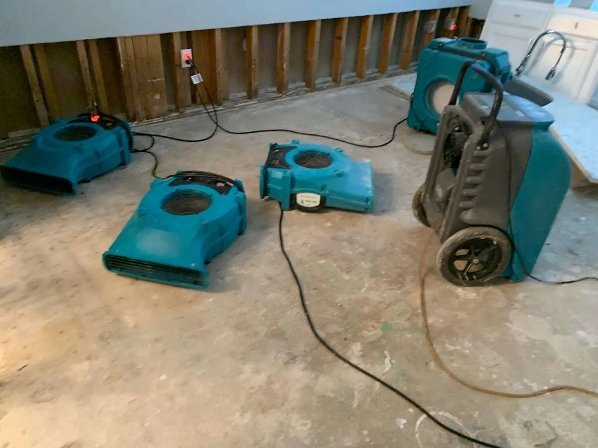 Water Damage Restoration services in Westville, IN